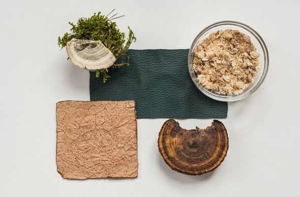 Woola、LivingPackets 和 Releaf Paper 入圍 LVMH 創(chuàng)新設(shè)計獎決賽