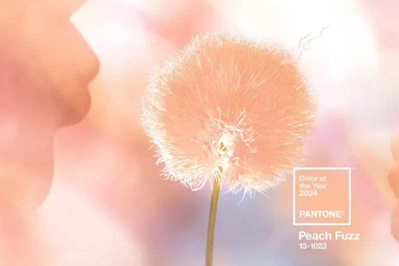Pantone 2024年度顏色：新的一年，新的趨勢